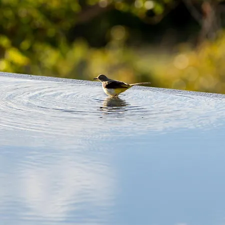 Διαμέρισμα Casa Emblematica La Guazadera *