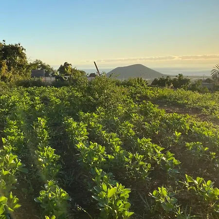 Apartament Casa Emblematica La Guazadera