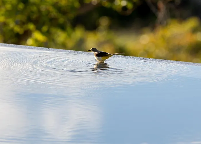 Διαμέρισμα Casa Emblematica La Guazadera *
