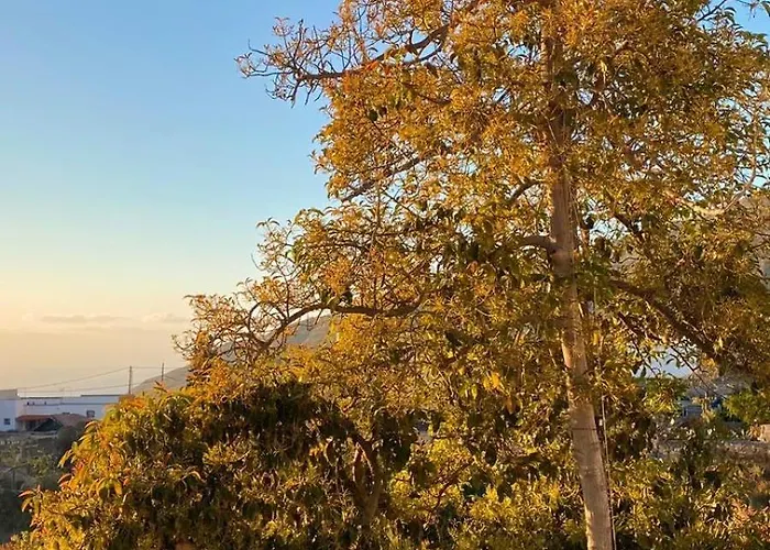 Casa Emblematica La Guazadera Апартаменты *