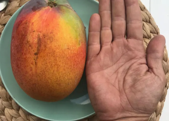 Casa Emblematica La Guazadera Гуимар