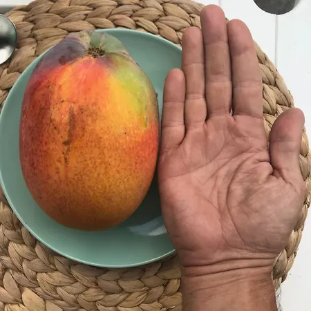 Casa Emblematica La Guazadera غيمار