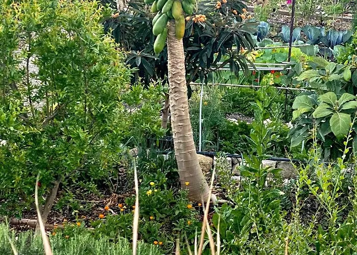 Casa Emblemática La Guazadera Güimar